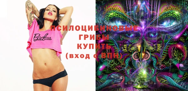 молекула духа Баксан