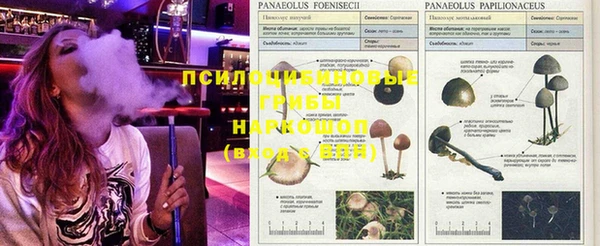 молекула духа Баксан