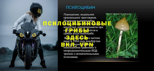 молекула духа Баксан