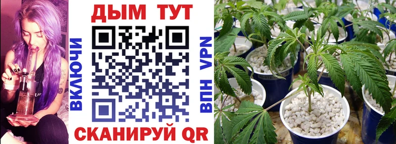 МАРИХУАНА ГИДРОПОН Котельниково
